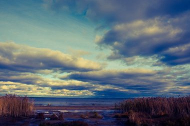 Manzara. Mavi gökyüzüne karşı göl manzarası. Beyaz bulutlar. Reed kumlu sahilde yetişiyor. Sonbahar, gün.