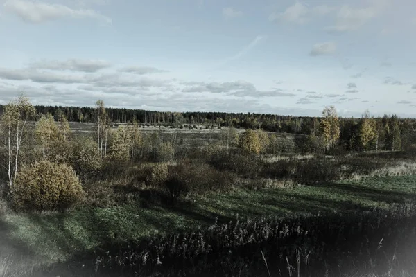 Krajina Asfaltovou Cestou Pozadí Podzimního Lesa Podzim Den Hlavně Zataženo — Stock fotografie