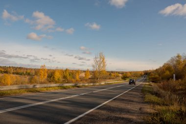 Asfalt yolu olan bir manzara. Sonbahar ormanının arka planına karşı. Sonbahar, gün. Genel olarak bulutlu.