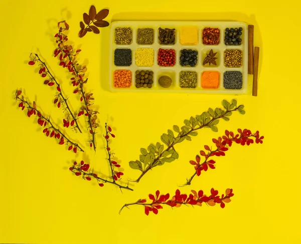 Collage of plants. Autumn gifts of nature. Branches of barberry and colored leaves on a red background. Various spices, indian gifts, in a white dish.