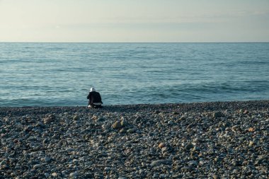 Sinek avcıları yuvada. Yavruların yumurtadan çıkışı yavaş yavaş tüylerle kaplanır. Çocuklar ebeveynlerinin yemek yemesini bekliyorlar. Ev, dallardan bir yuva, yosun, sarmaşıktaki kuşlar için tüyler..