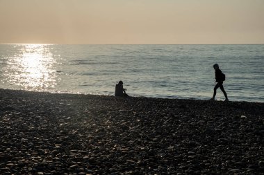Sinek avcıları yuvada. Yavruların yumurtadan çıkışı yavaş yavaş tüylerle kaplanır. Çocuklar ebeveynlerinin yemek yemesini bekliyorlar. Ev, dallardan bir yuva, yosun, sarmaşıktaki kuşlar için tüyler..