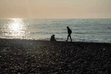 Sinek avcıları yuvada. Yavruların yumurtadan çıkışı yavaş yavaş tüylerle kaplanır. Çocuklar ebeveynlerinin yemek yemesini bekliyorlar. Ev, dallardan bir yuva, yosun, sarmaşıktaki kuşlar için tüyler..