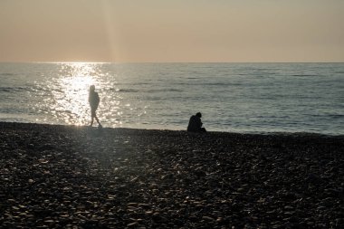 Sinek avcıları yuvada. Yavruların yumurtadan çıkışı yavaş yavaş tüylerle kaplanır. Çocuklar ebeveynlerinin yemek yemesini bekliyorlar. Ev, dallardan bir yuva, yosun, sarmaşıktaki kuşlar için tüyler..