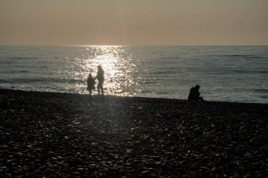 Sinek avcıları yuvada. Yavruların yumurtadan çıkışı yavaş yavaş tüylerle kaplanır. Çocuklar ebeveynlerinin yemek yemesini bekliyorlar. Ev, dallardan bir yuva, yosun, sarmaşıktaki kuşlar için tüyler..