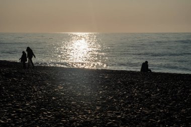 Sinek avcıları yuvada. Yavruların yumurtadan çıkışı yavaş yavaş tüylerle kaplanır. Çocuklar ebeveynlerinin yemek yemesini bekliyorlar. Ev, dallardan bir yuva, yosun, sarmaşıktaki kuşlar için tüyler..
