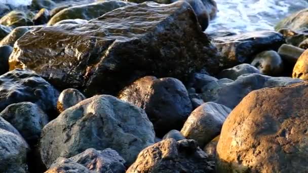 Ondas Rolam Terra Pedras Pedra Beira Água Pulverizar Das Ondas — Vídeo de Stock