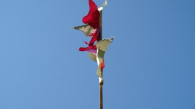 Bayrak direğinde sallanan çok renkli bayraklar. Deniz kıyısındaki bir tatil köyünde sokak dekorasyonu. İyi günler. Yaz. Georgia.