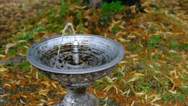 Dricka Fontän Stadsgata Fri Naturligt Vatten Mineralvattenfontän Sommar Georgien — Stockvideo