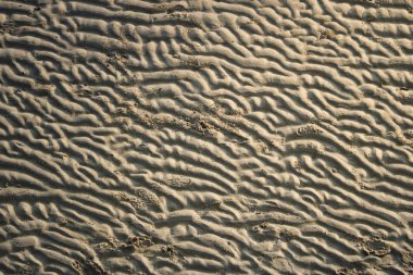 Alacakaranlıkta kum hattını kapatın.