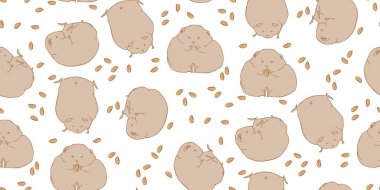 Kalın ve komik hamsterlar. Farklı açılardan hamsterlar. Güzel kemirgenler