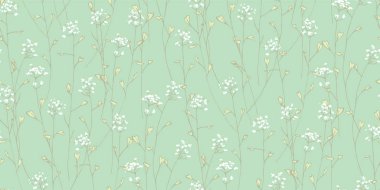 Capsella bursa-pastoris. Çiçek açan çimenler. Tıbbi bitki. Kır çiçekleri. Çiçek hassasiyet baskı