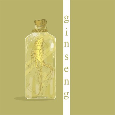 Ginseng kökü tentürü. Kore ginsengi. Tıbbi bitki. Kore halk tıbbı. Panax kökünün terapötik tentürü