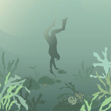 Kore'nin Jeju adasının dalgıcı. Dalış. Denizde yüzmek. Deniz yumuşakçaları koleksiyonu. Siluet dalgıç. Sualtı dünyası