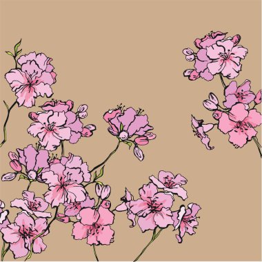 Bahar çiçekli açelya. Kore'de pembe açelyaların çiçekli. Açelyanın yemyeşil çiçeklenmeleri. Çiçek açan bahçe çiçekleri