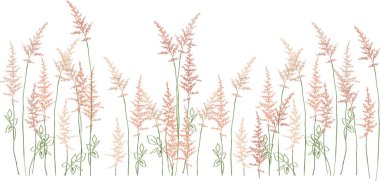 pembe çiçek çim arka plan, vektör illüstrasyon