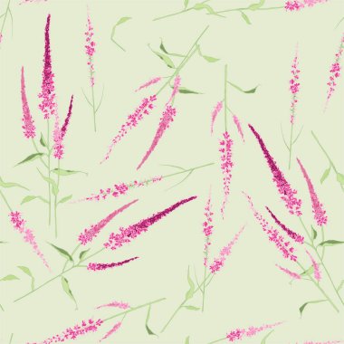Pembe Çiçek Veronica. Çeşitli renklerde bahçe veya tarla çiçeği. Spikelet çiçeklenme