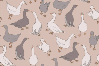 gri ve beyaz kaz sürüsü, vektör illüstrasyon