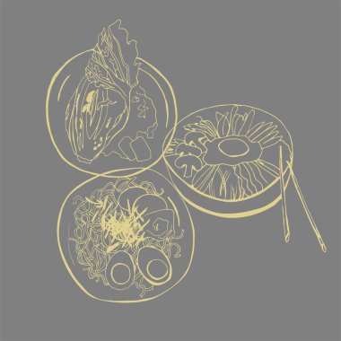 Kore yemekleri, lezzetli Kore mutfağı