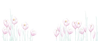 Leylak gölgesinin bahar çiçekleri. Nazik timsahlar. Baharın gelişi