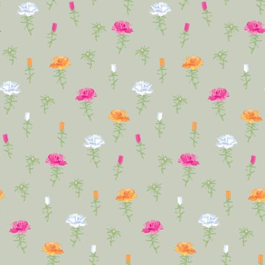 Turuncu, pembe ve beyaz Portulac grandiflora. Çiçek açan purslane. Parlak zemin kapak çiçekler. Yaz çiçekleri 