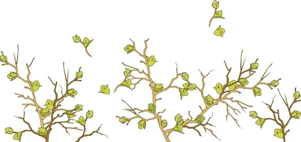 Les Branches Des Arbres Sont Parsemées Bourgeons Printaniers Feuilles Qui — Image vectorielle