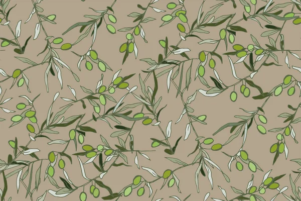Olives Vertes Sur Les Branches Aux Feuilles Argentées — Image vectorielle