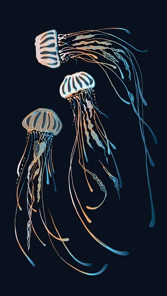 Magiczny Kolor Morskich Jellyfish Przejrzystość Finezja Jellyfish Tworzenie Wzorów Oceanicznych — Wektor stockowy