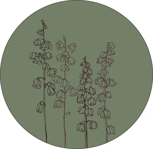 Fritillaria Smoky Shade Spring Flowers Shaped Bells — Stock Vector