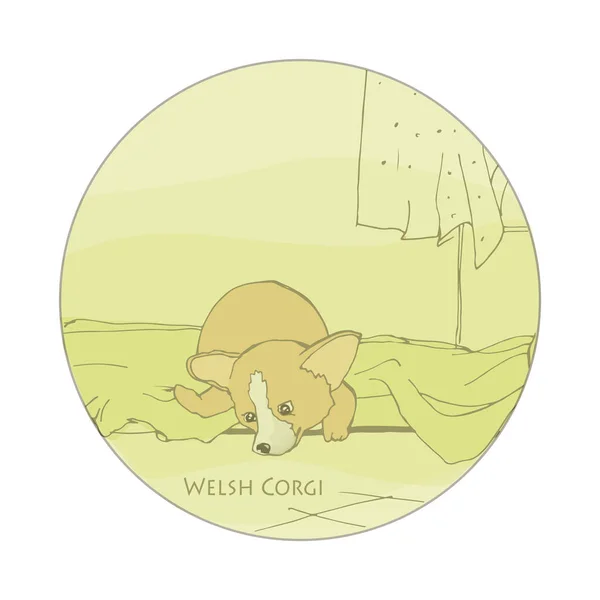 Welsh Corgi Laag Hondenras Puppy Het Bed Schets Van Oranje — Stockvector