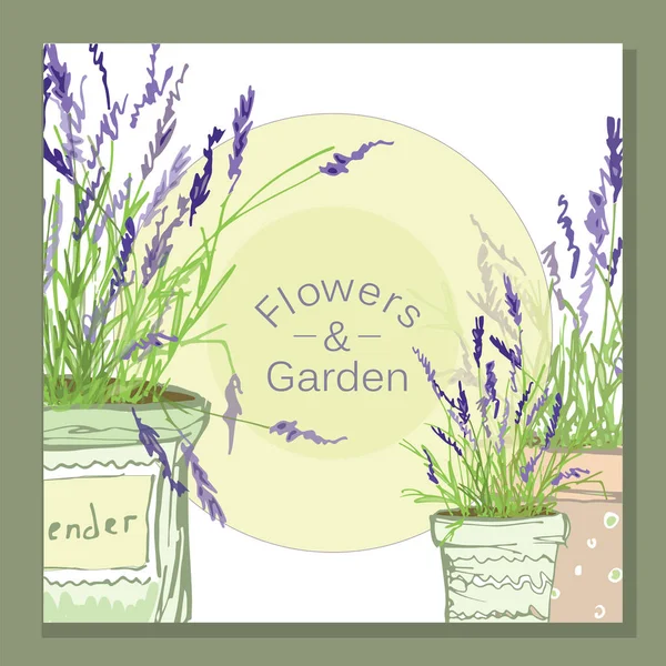 Lavender Pots Garden Flowers Style Provence Medicinal Flowers — Stock Vector