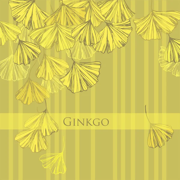 Ginkgo Biloba Herbstlaub Blätter Des Ginkgobaums Heilpflanze — Stockvektor