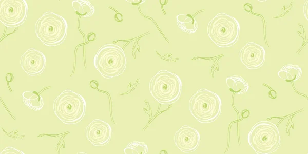 Ranunculus Fleurs Jardin Fleurs Printanières Plantes Douces Graphiques Buttercup Asiatique — Image vectorielle