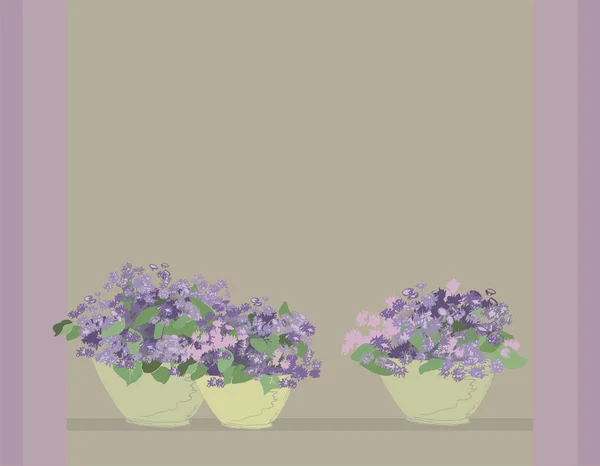 アゲラタム鉢の中のライラックの花 紫色の庭の花ふわふわの開花 秋の花 — ストックベクタ