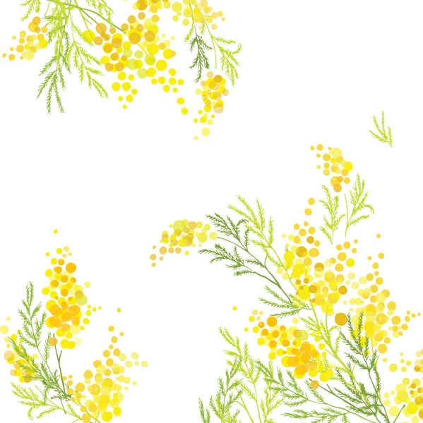 Mimosa Jaune Fleurs Taches Jaunes Éclaboussures Printemps Fleurs Jaunes — Image vectorielle