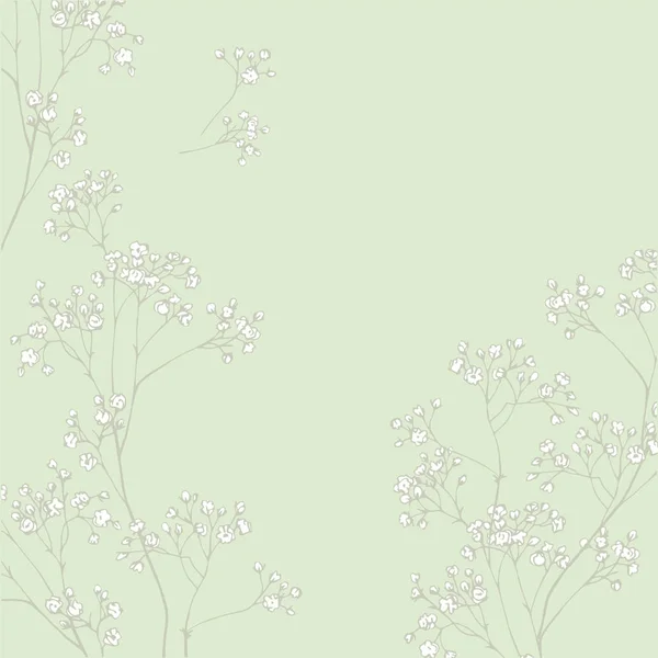 Gypsophila çiçekleri. Kırılgan ve havadar beyaz çiçekler. Rustik tarzda kolay yazdırma