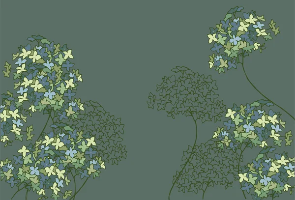 garden hydrangea with blue and green flowers, vector illustration