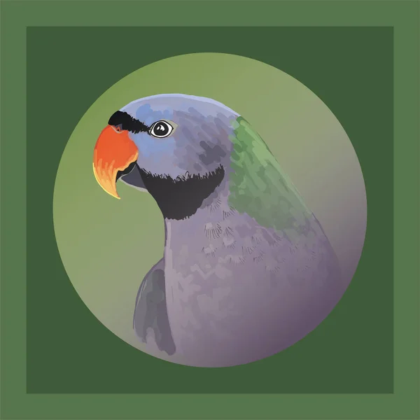 Obrączkowane Papuga Zwierzak Jaskrawo Kolorowy Ptak — Wektor stockowy