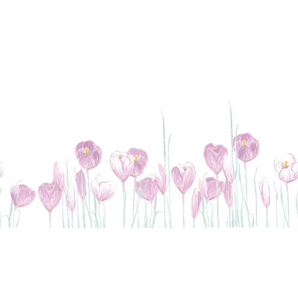 Frühlingsblumen Eines Fliederschatts Sanfte Krokusse Die Ankunft Des Frühlings — Stockvektor