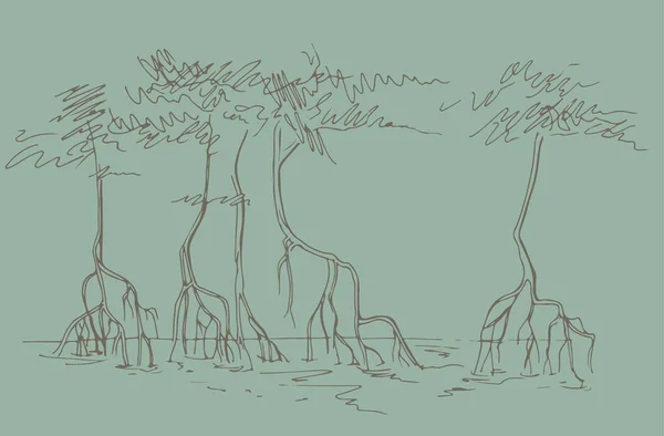 Croquis Des Forêts Mangroves Illustration Vectorielle — Image vectorielle