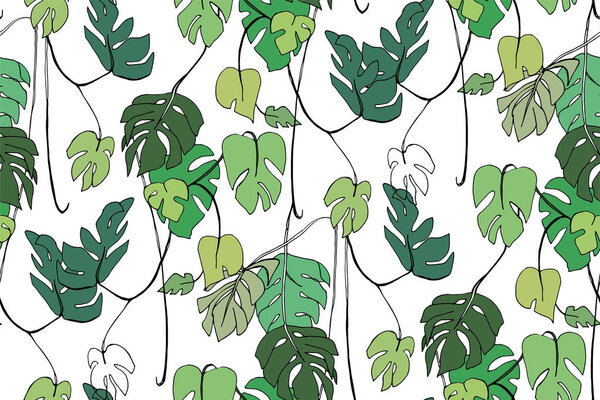 Monstera - a jungle of lianas plants, vector illustration