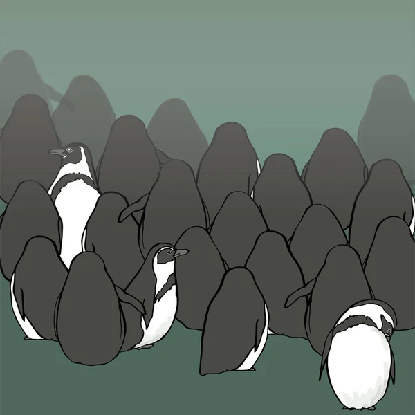 Kudde Pinguïns Soorten Pinguïns Zijn Magellanicus Niet Vliegen — Stockvector