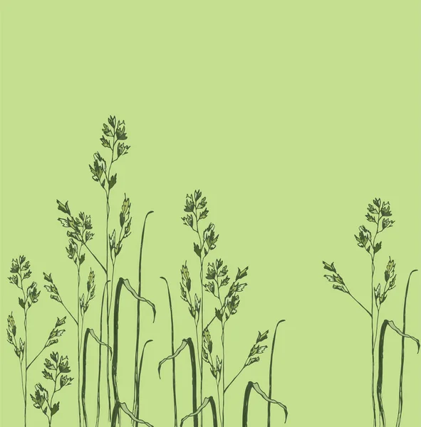 Épillets Herbe Fleurs Sur Vert Illustration Vectorielle — Image vectorielle