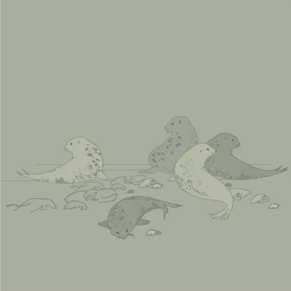 Anjing Laut Bulu Tepi Laut Hewan Laut Dalam Grafis Sekelompok - Stok Vektor