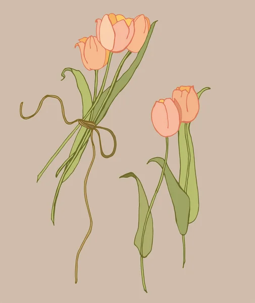 Tulipanes Brillantes Inusuales Ilustración Vectorial — Vector de stock