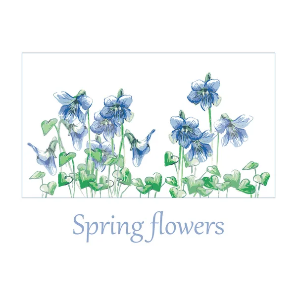 Blaue Veilchen Frühlingsblumen Vektorillustration — Stockvektor