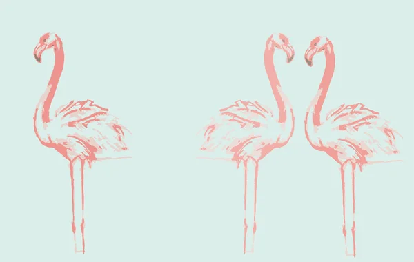 Rosa Flamingo Fåglar Vektor Illustration — Stock vektor