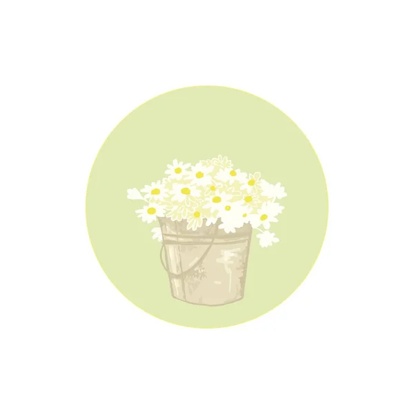 Kytice Sedmikráků Kýblu Kytice Květin Venkovském Stylu Zahrada Bílé Květiny — Stockový vektor