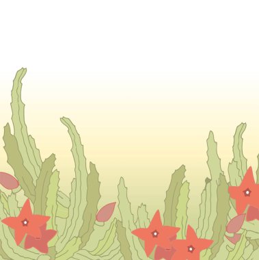 Blooming Stapelia. Bir tencerede sulu. Houseplants. Botanik illüstrasyon. Çölden bir bitki. Tropikal kaktüsler.