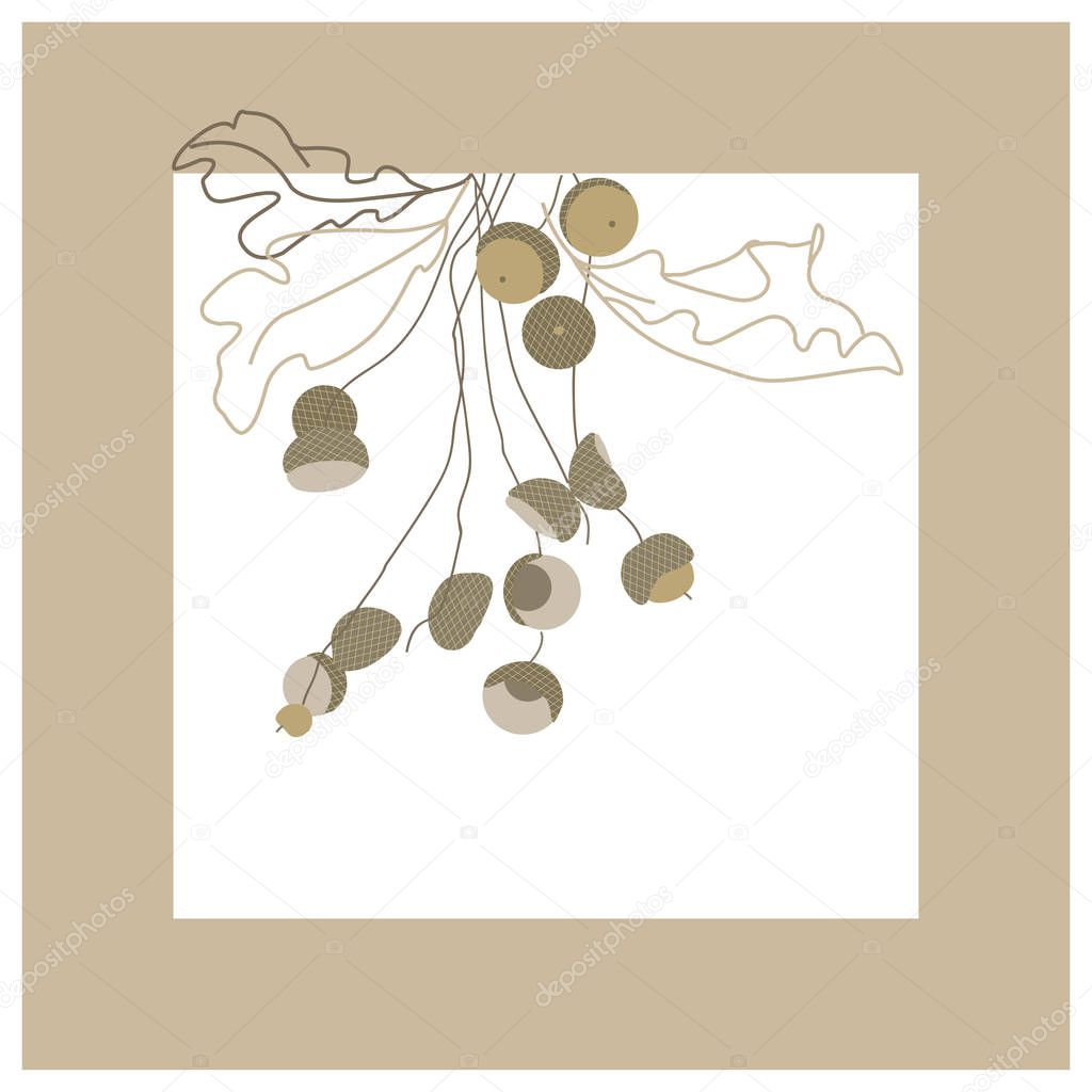 Oak branches with acorns. Dry autumn leaves. Oak seeds. Vector botanical illustration.